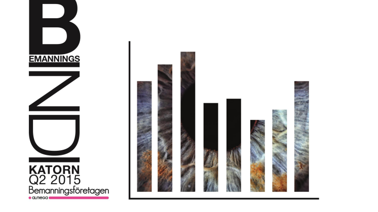 Bemanningsindikatorn Q2 2015 - efterfrågeläget hålls uppe