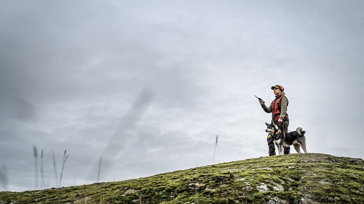 Garmin Alpha 200 uutuus koirapaikannin metsästykseen