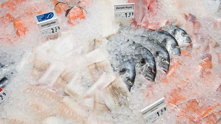 Kriminalteknik spårar miljömärkta fiskar