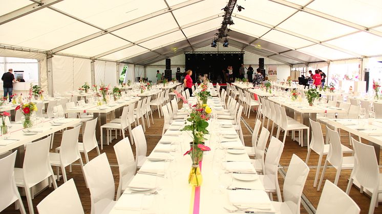 Impressionen von der 2. Bärenherz Sommernacht: Ein Rückblick in Bildern