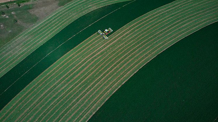CLAAS rekord