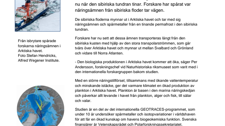Tinande tundra ger ökad näring i Arktiska havet