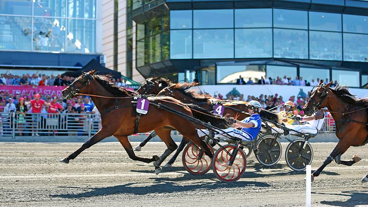 Global Withdrawl vinner Treåringseliten 2018. Foto: Maria Holmén, TR Bild
