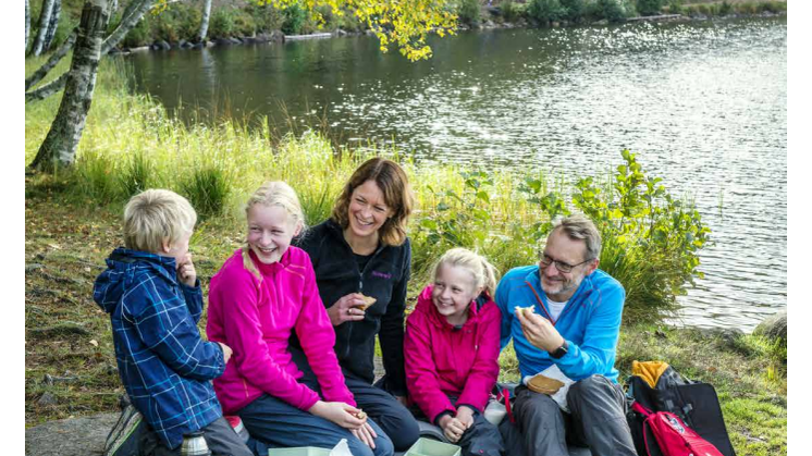 TINE Gruppas årsmeldig 2016
