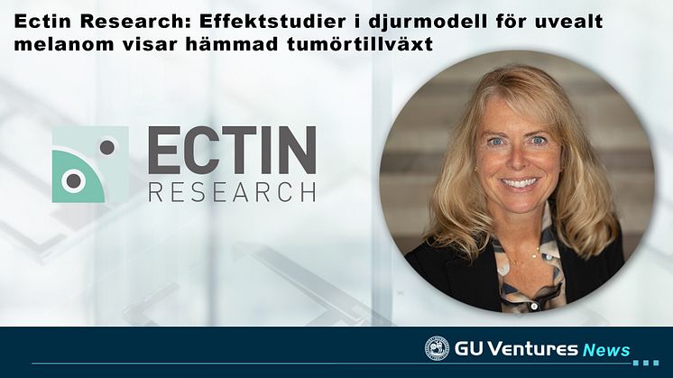 Bilden är ett montage. På bilden är Anna Sjöblom-Hallén, CEO, Ectin Research AB