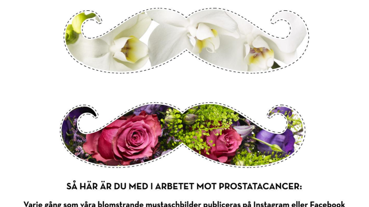 Så är du med i #interflorakampen - PDF