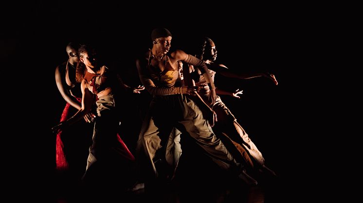 Company Nicolas Huchard - The barefoot diva