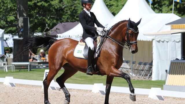 Ett av de duktiga svenska juniorekipage som kommer till Elmia Scandinavian Horse Show och har chans att delta i Landskampen i dressyr är Anton Tairi med hästen Chic, från Helsingborgs Fältrittklubb. Foto: Kim C Lundin.