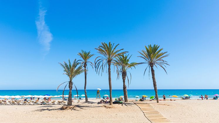 DEST_SPAIN_ALICANTE_SEASIDE_BEACH_PALM_TREES_PEOPLE_GettyImages-950371582_Universal_Within usage period_96413.jpg