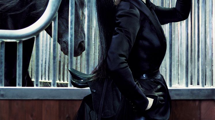 05 - STEVEN KLEIN