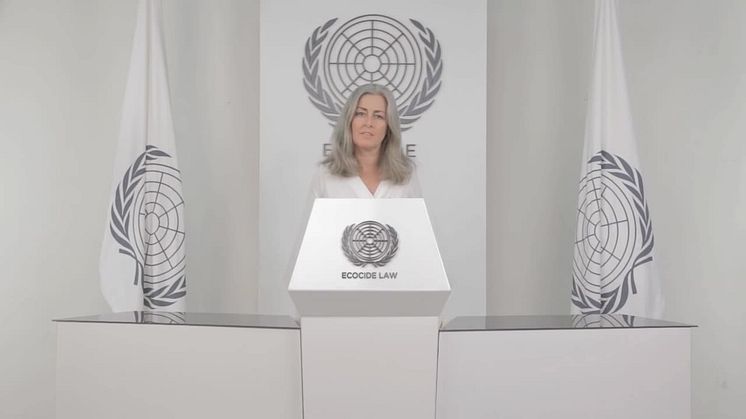 Polly Higgins: This is Ecocide and with an Ecocide law we can stop it!