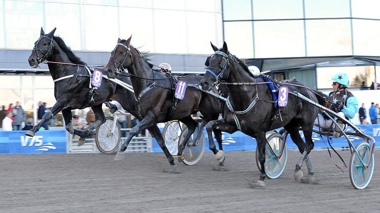 Fransk stjärnglans i Olympiatravet