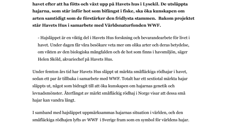 Havets Hus och WWF släpper ut fridlyst haj i havet  