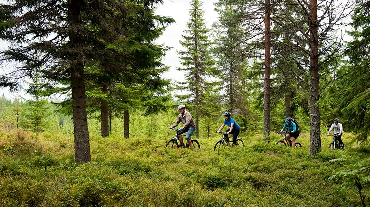 Trysil - sykkel