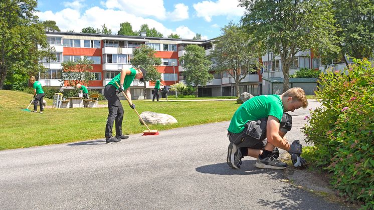 Willhem erbjuder sommarjobb som Minibovärdar   