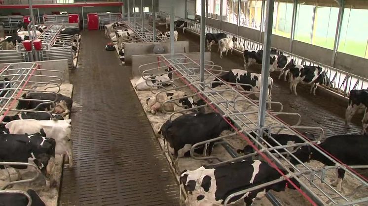 Lely Discovery skraperobot