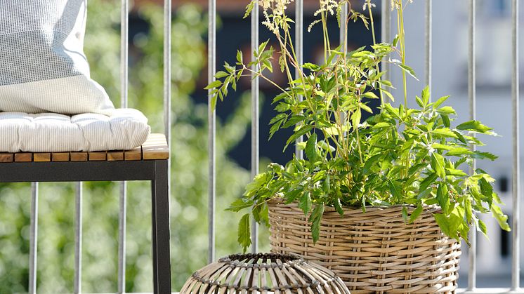 JYSK_early_balcony_14