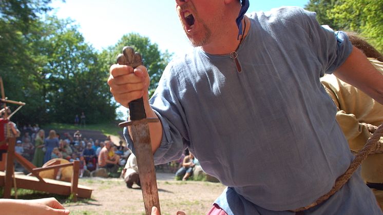 Vikingafejd
