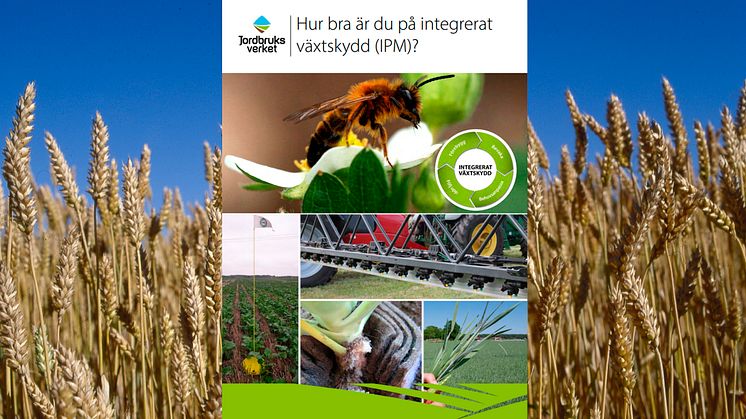 Broschyr om växtskydd