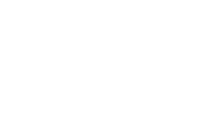 Vill-Baro_vit-297x300
