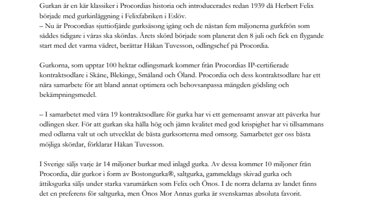 Nu plockas 8000 ton gurka!