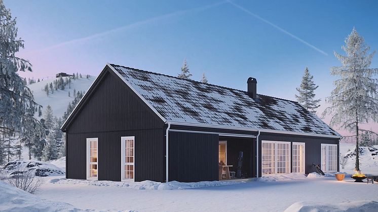 stjarnfall_fjall_webb1.jpg