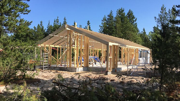 En lokal Tømrer: Håndværk og Kvalitet til Din Dørtrin