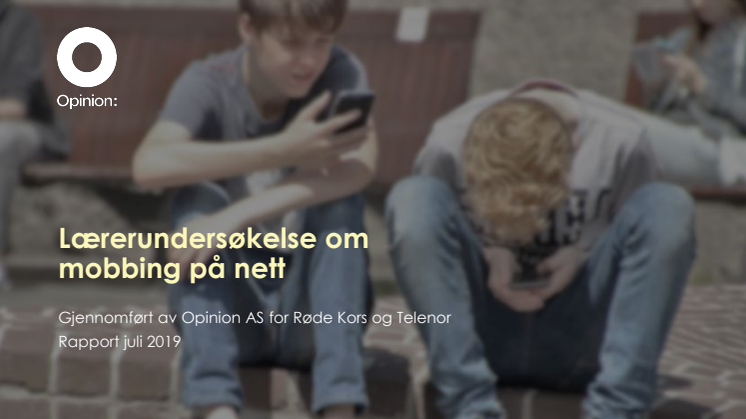 Pdf-versjon av hele nettundersøkelsen