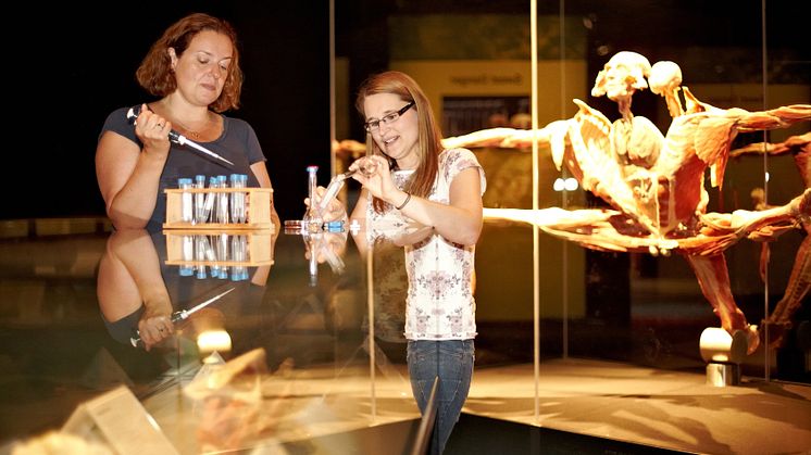 Meet the scientists at Body Worlds