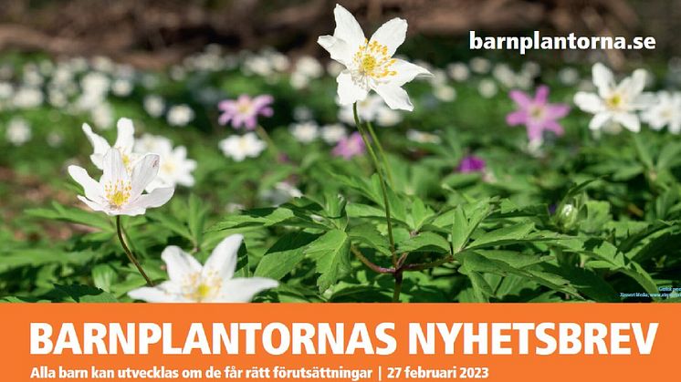 BARNPLANTORNAS NYHETSBREV den 23 februari 2023
