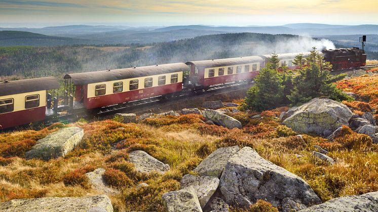 Harzen: Harzquerbahn, Schmalsporbane med damplokomotive