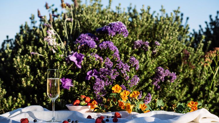 Alkoholfri nyhet från Jacob’s Creek – UnVined Sparkling