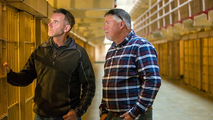 Alcatraz: The Search for the Truth