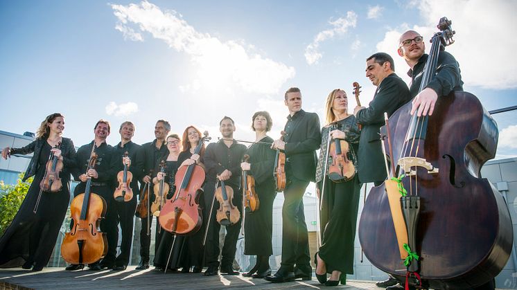 Musica Vitae