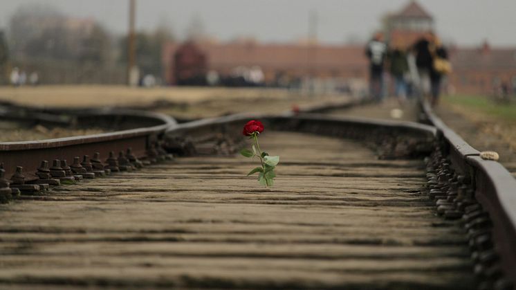 Memorial and museum Auschwitz-Birkenau