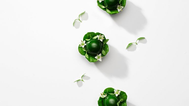 Bocuse D'or Europe 2020 Kronärtskocksblomma