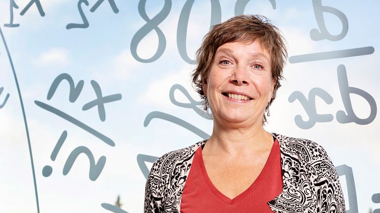 Karin Beland-Lindahl, biträdande professor i statsvetenskap vid Luleå tekniska universitet