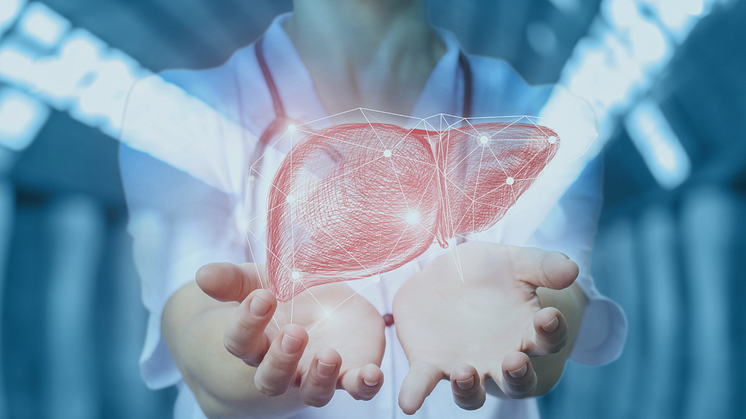 Mediziner sprechen heute bei einer entzündeten Fettleber mit metabolischem Syndrom von einer steatotischen Lebererkrankung