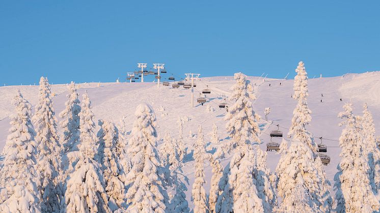 Vinter 23/24