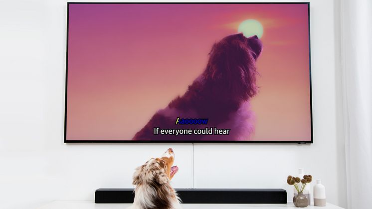 Dog Karaoke TV