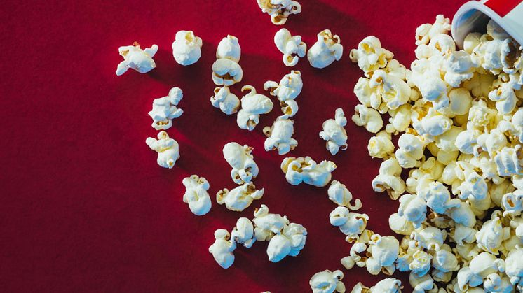 EXPERT COMMENT: My book Tell it to the Bees was made into a film – but they changed the ending for a straight audience
