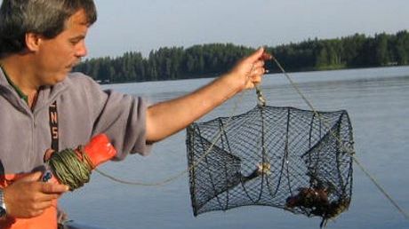 Landets kräftexperter samlas till konferens i Jönköping