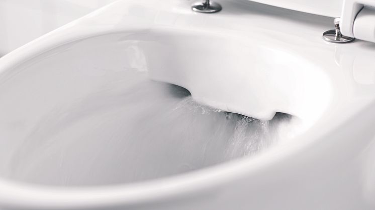 Detail Glow Rimfree 64 flushing