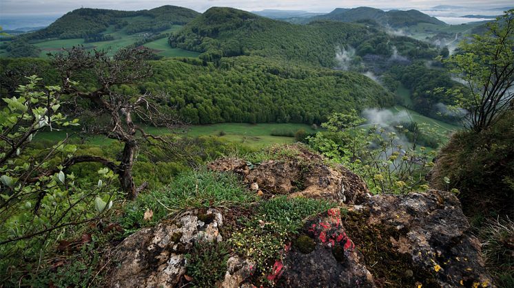 Jurapark Aargau, Wasserflue (c) Schweiz Tourismus