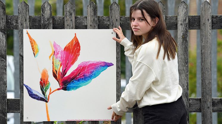 Downham Market artwork unveiled