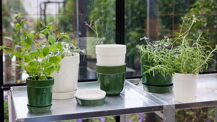 Sagaform SS24 - Elise pot
