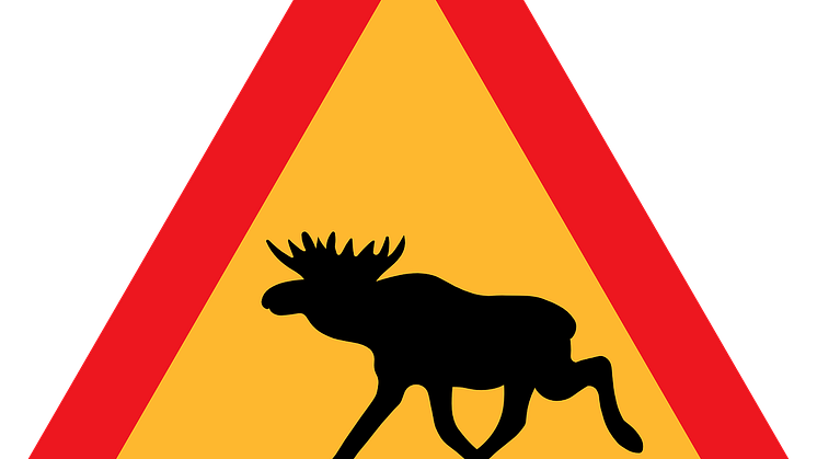 Se upp på vägen!