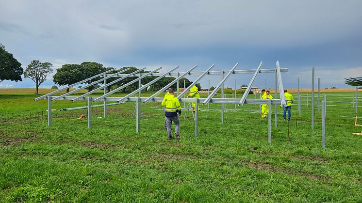 Start of construction for the first SECURSUN solar parks, like here in Brusow. In total, a portfolio of 1.1 GWp will be built by 2026. (Photo: SUNOTEC)