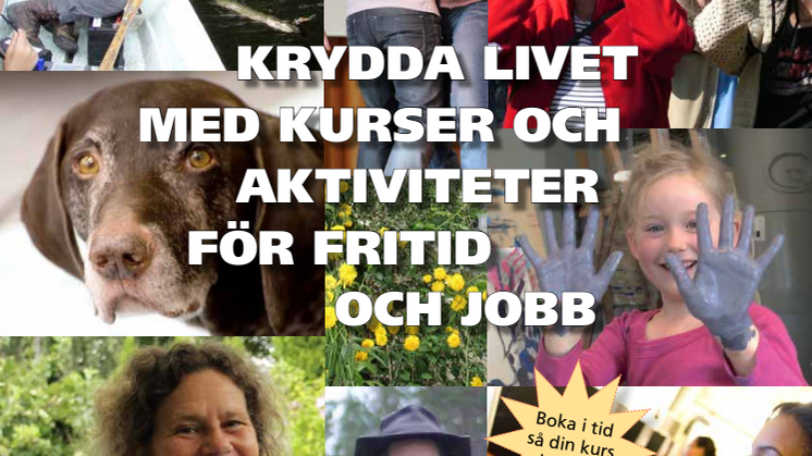Studiefrämjandet i Stockholms kurskatalog vår-sommar 2014