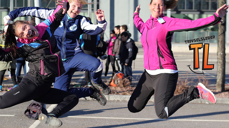 Velkommen til Trivselsseminar 7.mars - for mer aktivitet og inkludering i skolegården!